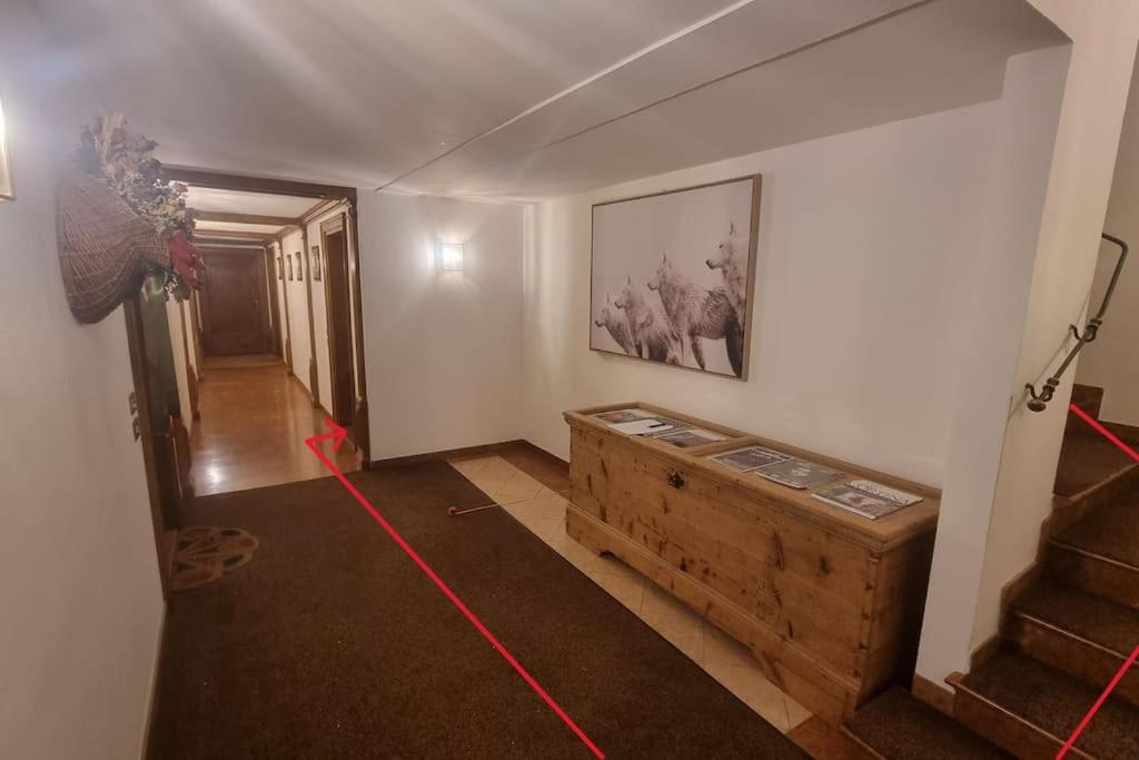 Studio Apartment Ariston In Centro A Cortina コルティーナ・ダンペッツォ エクステリア 写真